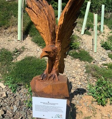Adler Herbolzheim